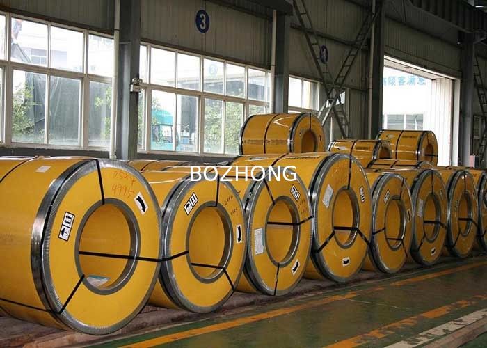 SS304 0.25mm Nickel Plating Stainless Steel Precision Coil/ Strip Manufacture
